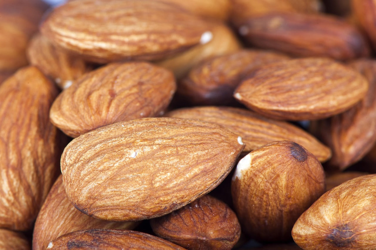 Graines d'amandes