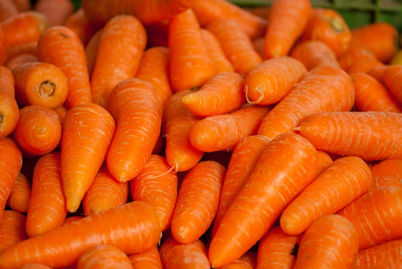 Lots de carrotes