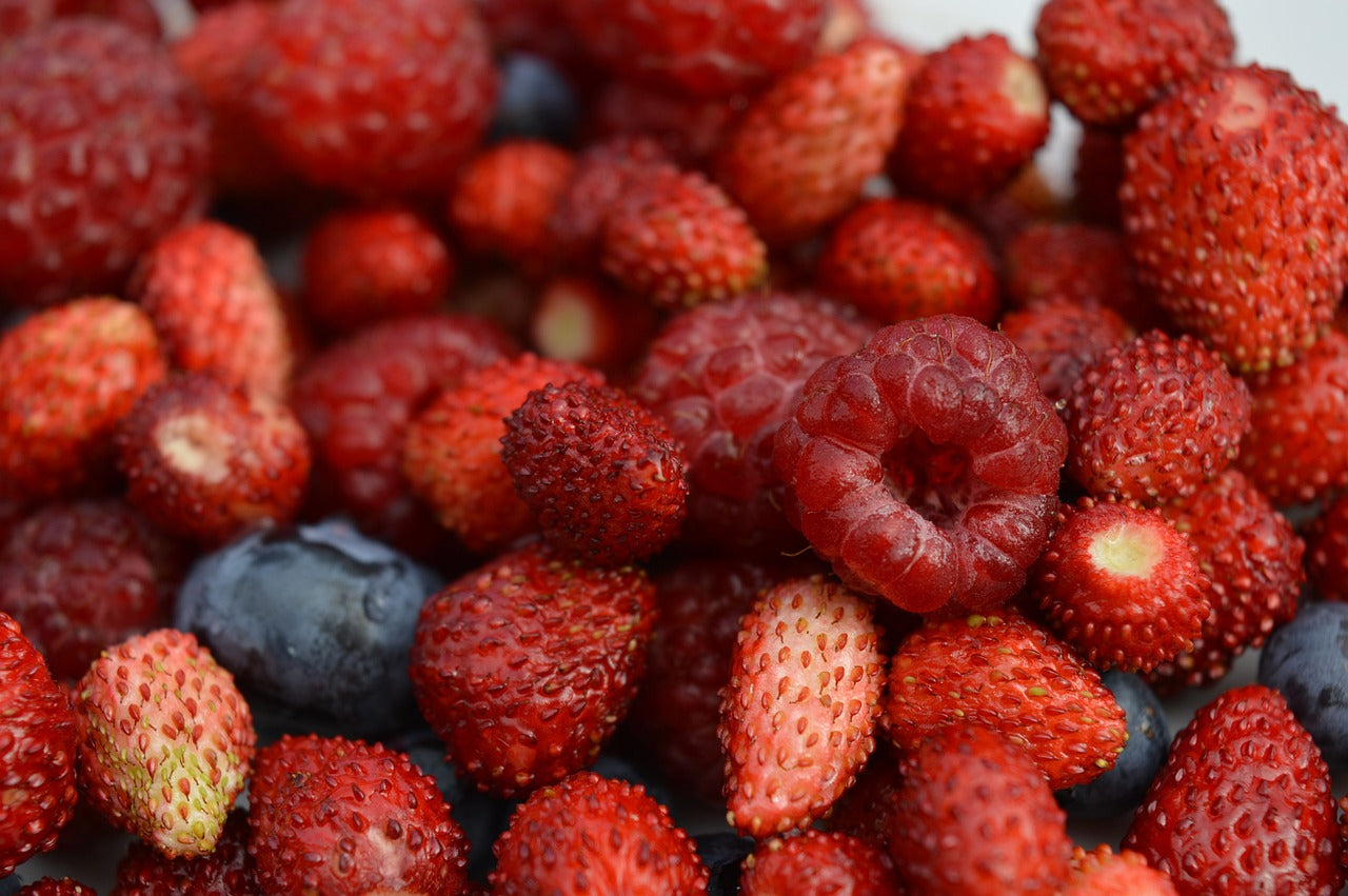 Lots de fraise, framboise et myrtille
